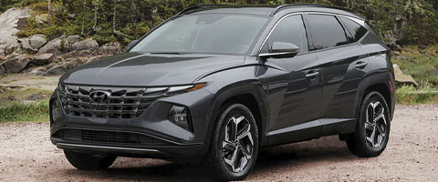 Dark gray SUV parked outdoors with a modern design and alloy wheels, surrounded by a natural landscape.