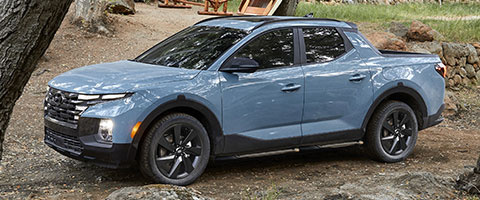 Blue pickup truck parked on a dirt path, surrounded by trees and rocks.